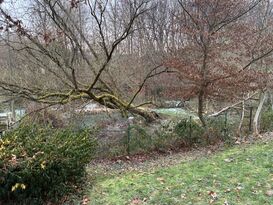 Dorfweiher in Huf im November 2025; Foto: Chr. Orthen