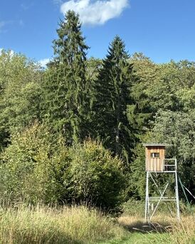 Wester-Wald; Foto: Christoph Orthen